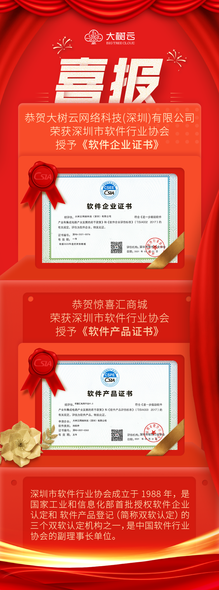 双软.png